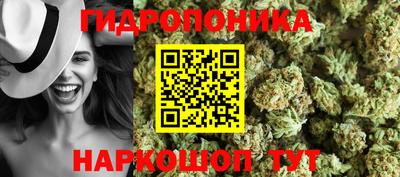 шишки Пушкино