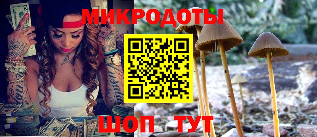 Псилоцибиновые грибы Psilocybe  Вход с VPN  Псилоцибиновые грибы прущие грибы  Сосновоборск 