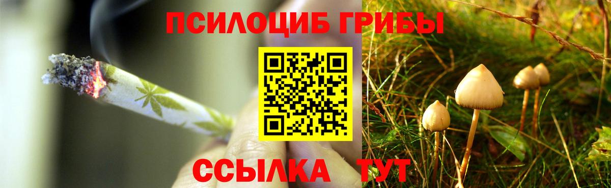 Галлюциногенные грибы GOLDEN TEACHER Сосновоборск